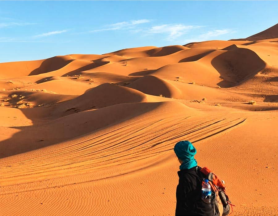 El susurro del desierto